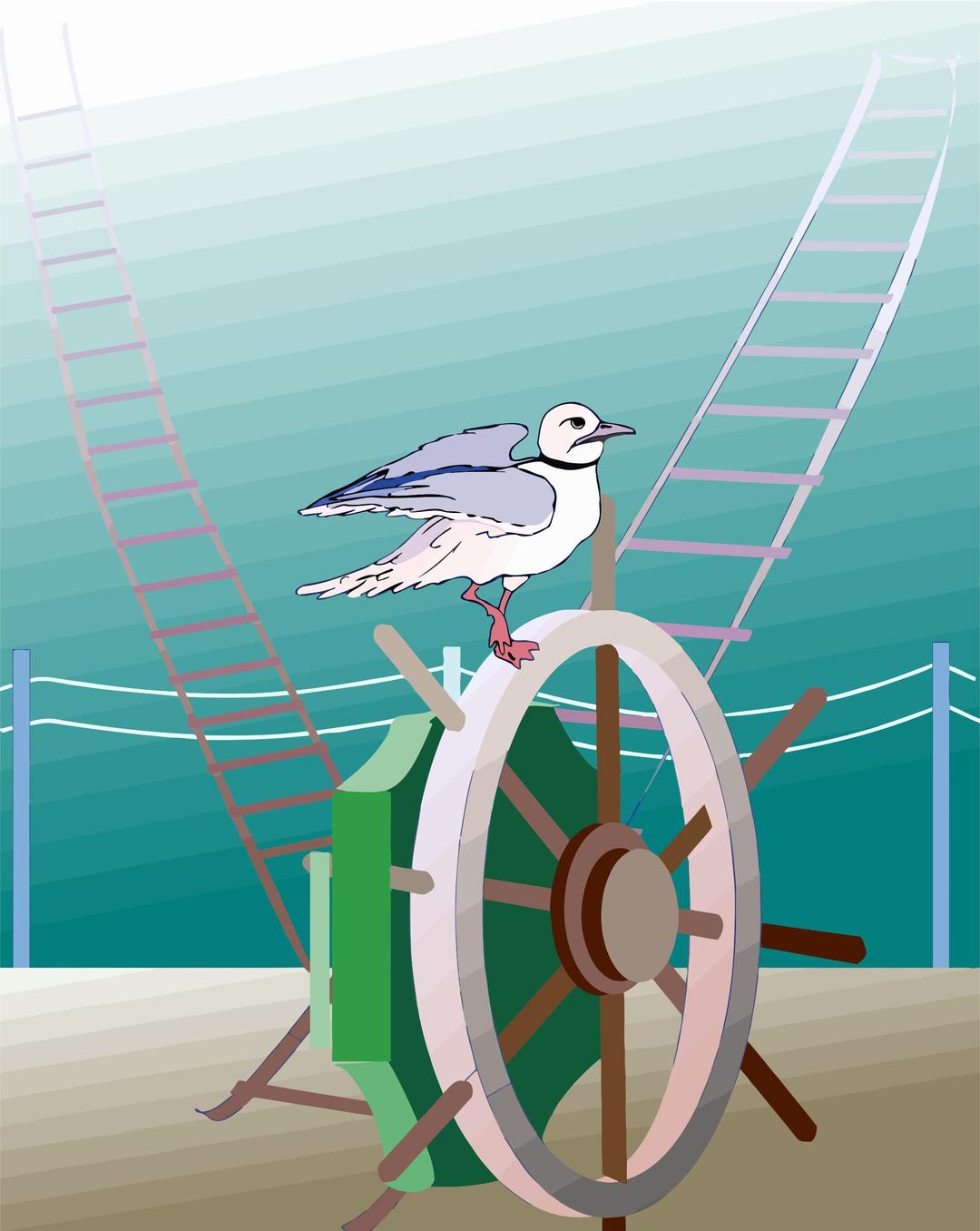 Seagull 2 png transparent