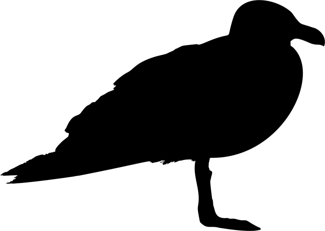 Seagull Profile Silhouette png transparent