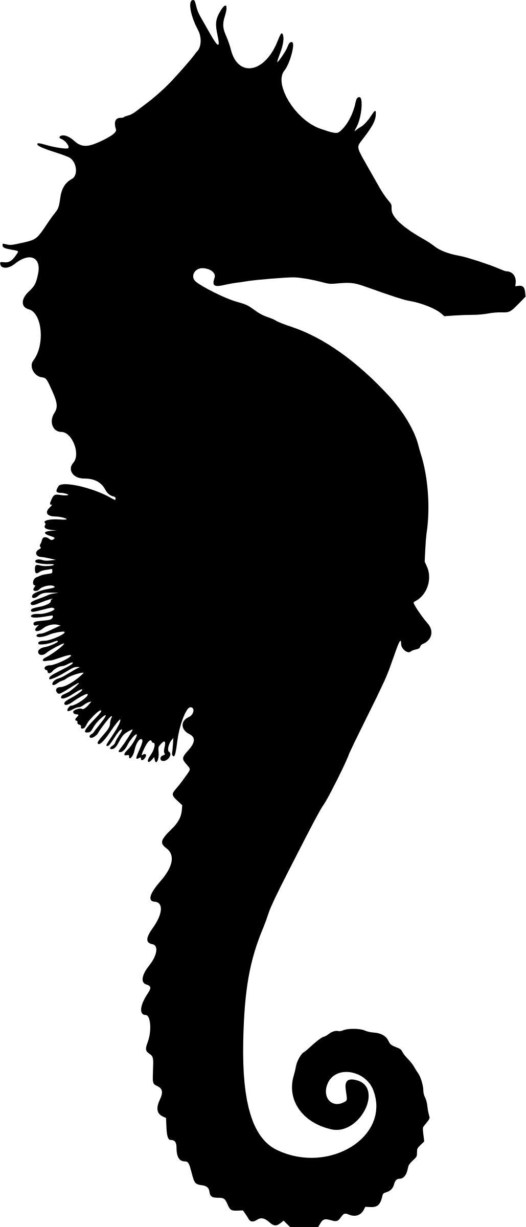 Seahorse 3 (silhouette) png transparent
