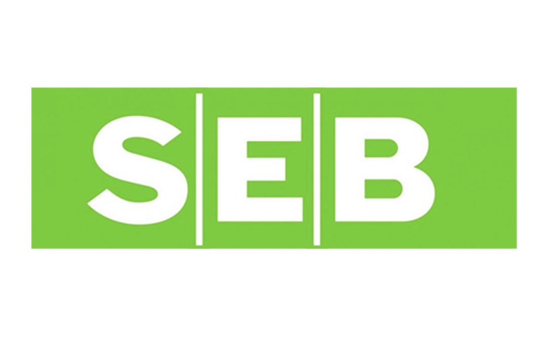 SEB Bank Green Logo png transparent