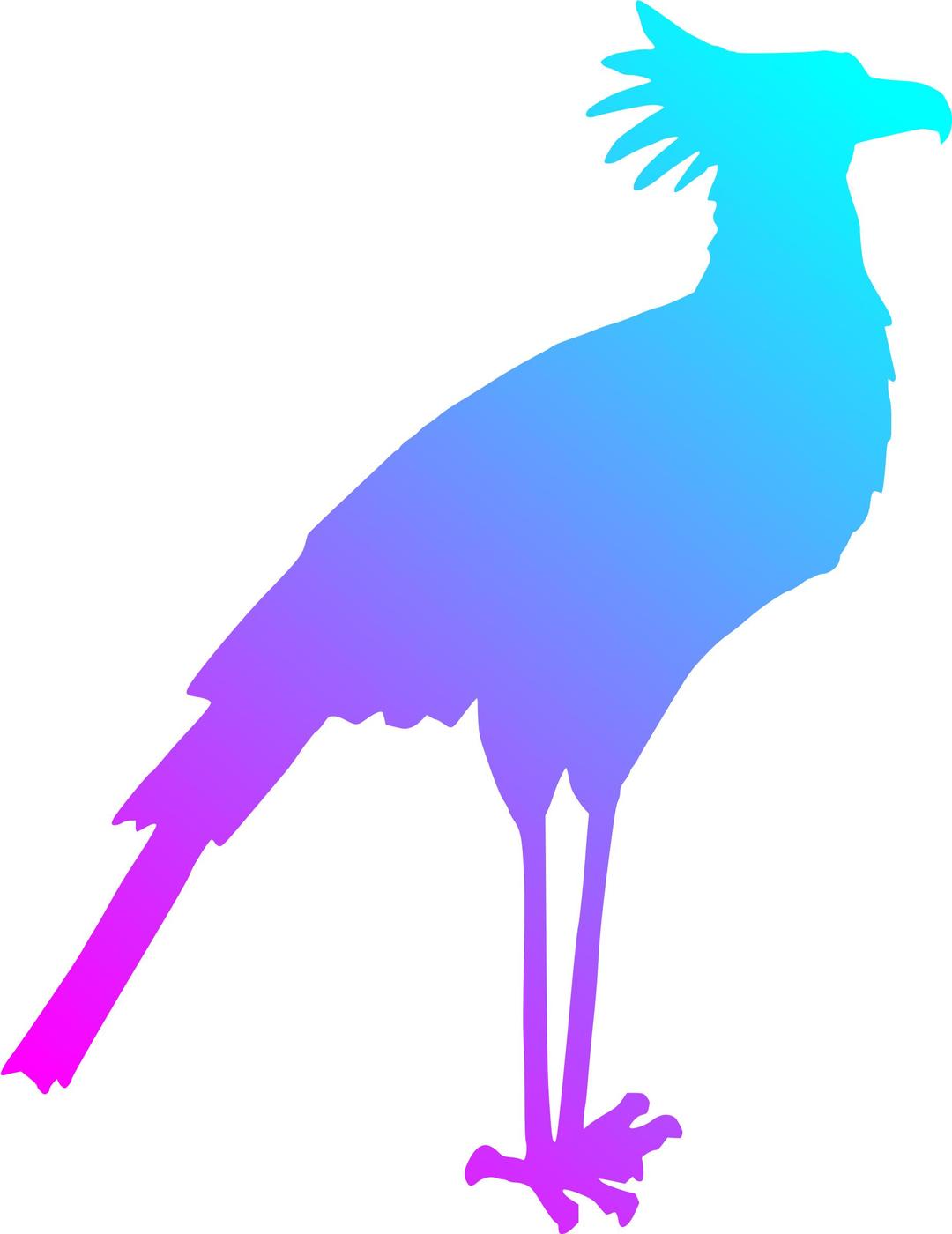 Secretary bird 2 (reduced file size) png transparent