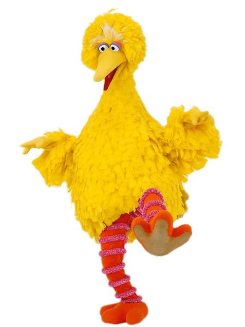 Sesame Street Big Bird on One Leg png transparent