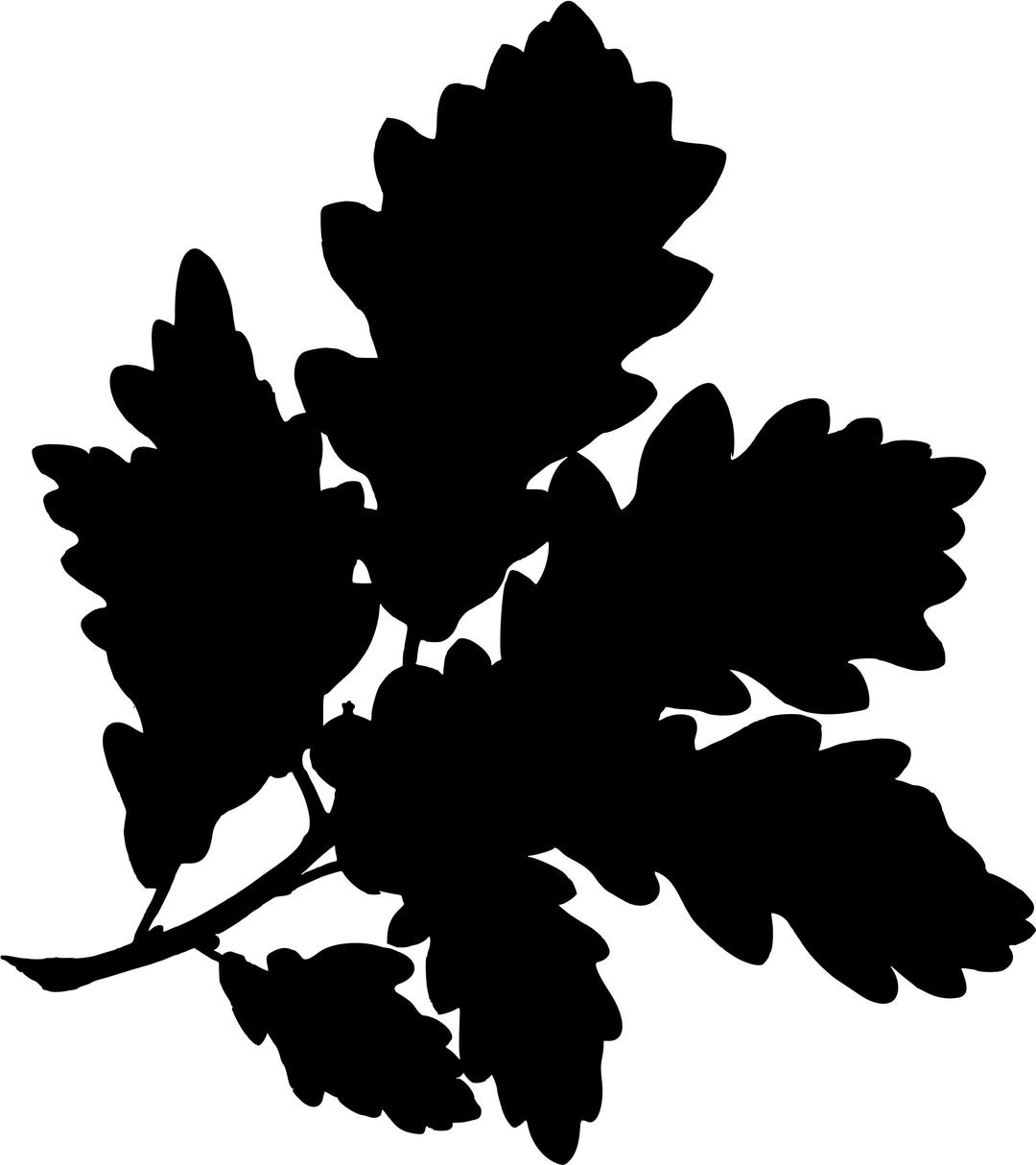 Sessile oak (silhouette) png transparent