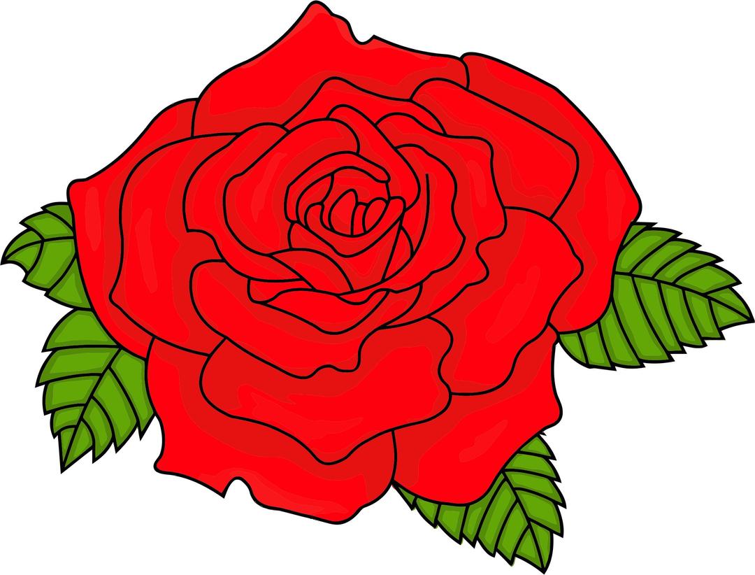 Shaded Red Rose png transparent