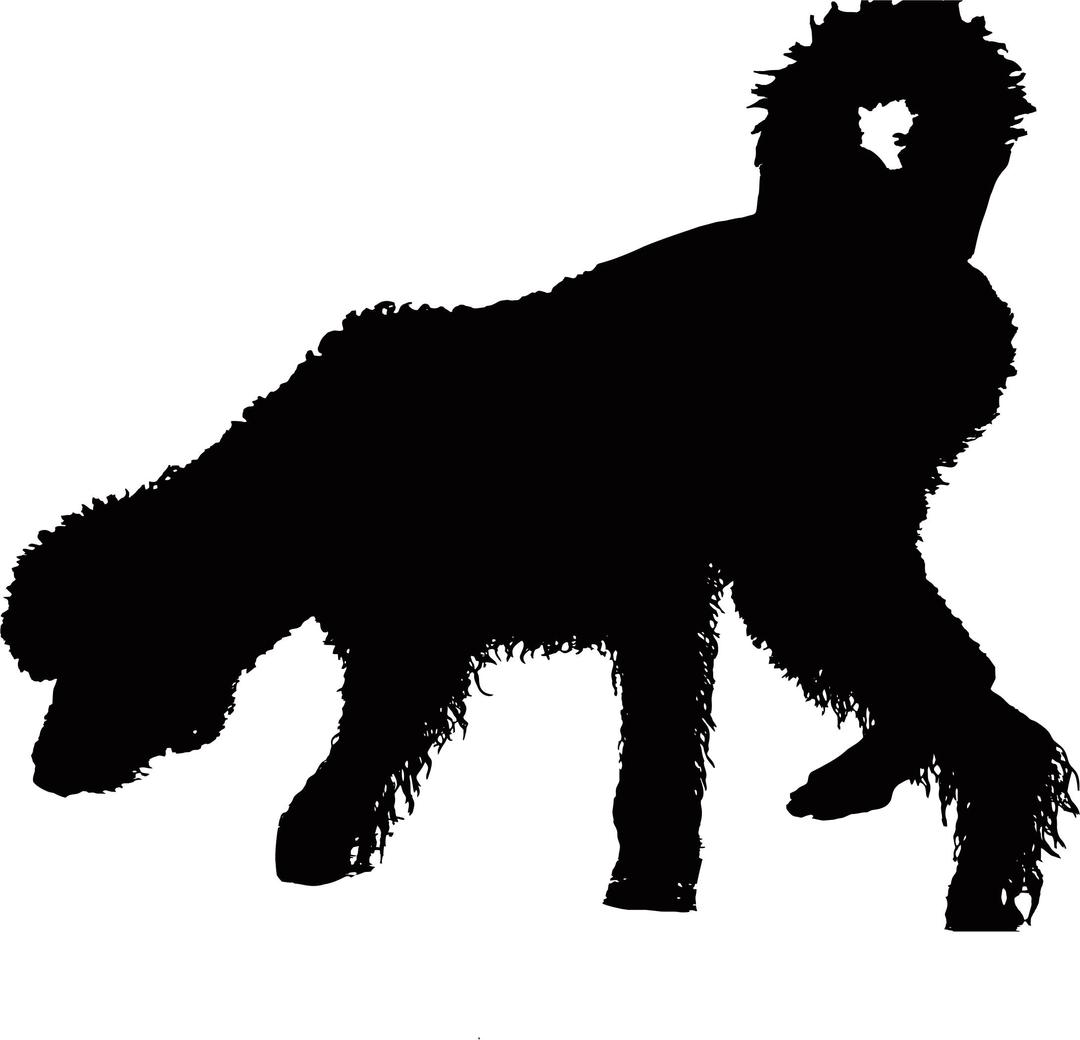 Shaggy Wet Dog Silhouette png transparent