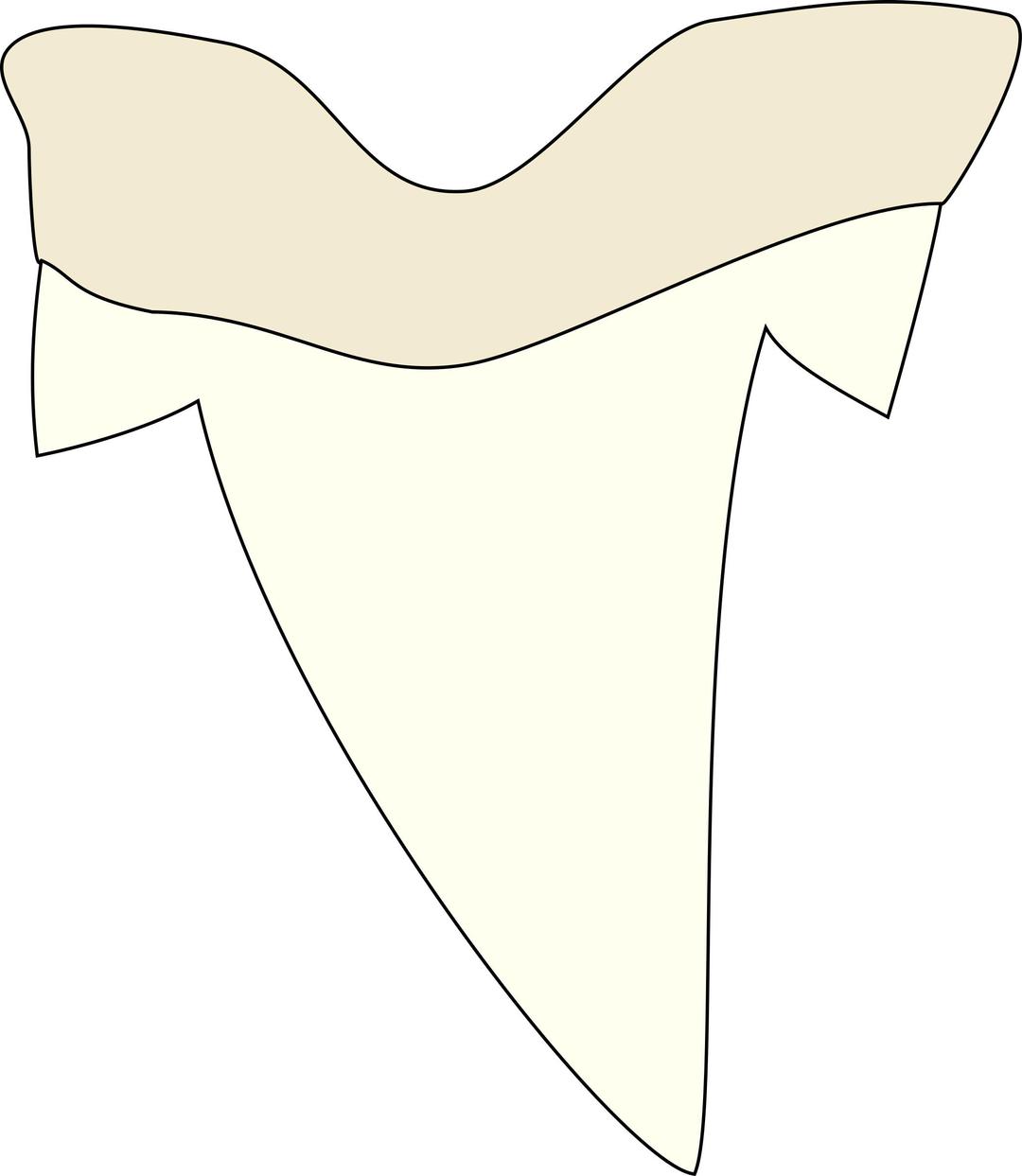 Shark tooth png transparent