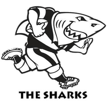 Sharks Rugby Logo png transparent