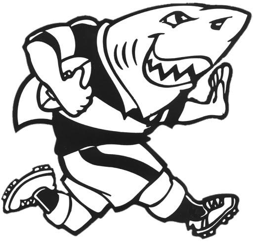Sharks Rugby Mascotte png transparent