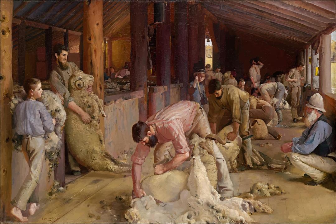 Shearing The Rams By Tom Roberts png transparent