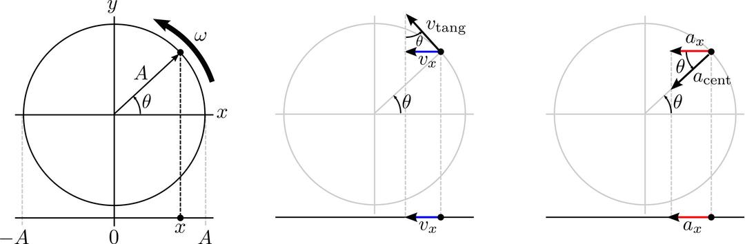 shm projection of circular motion png transparent
