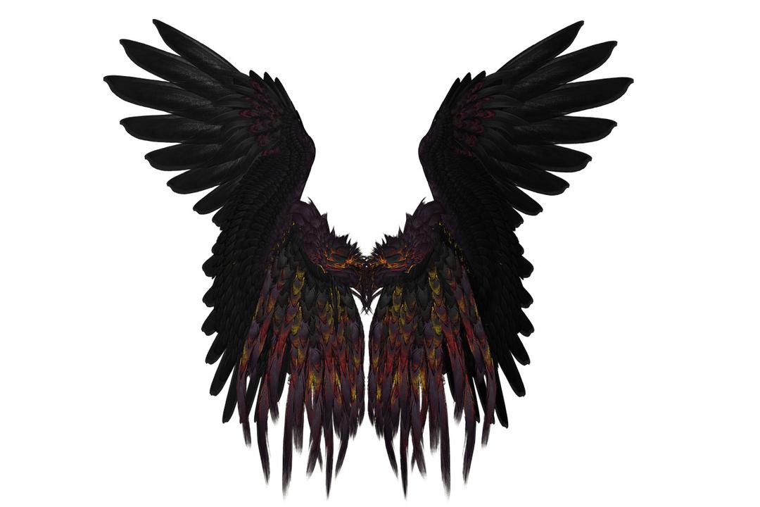 Short Black and Purple Wings png transparent