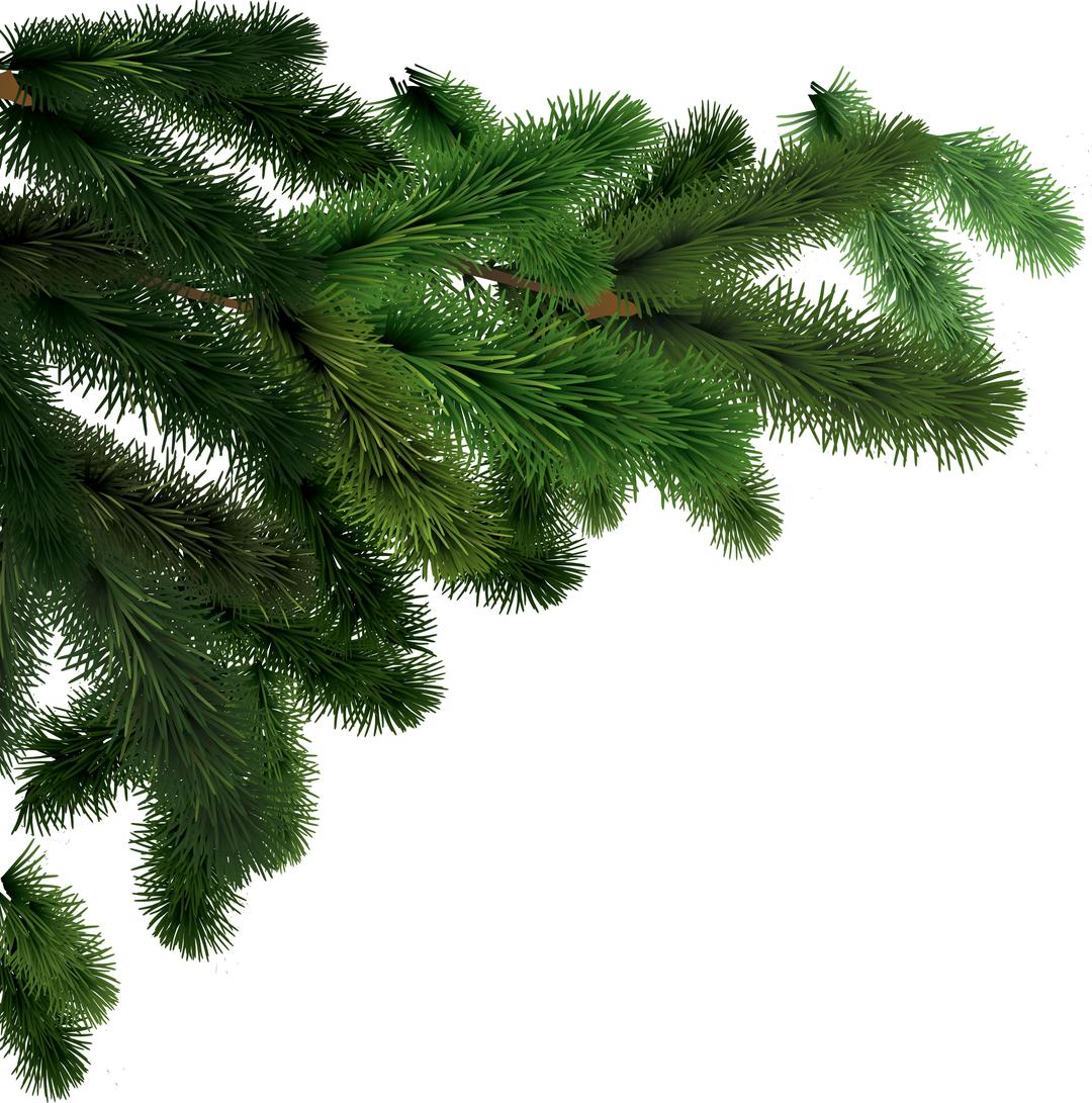 Side Branches Fir Tree png transparent