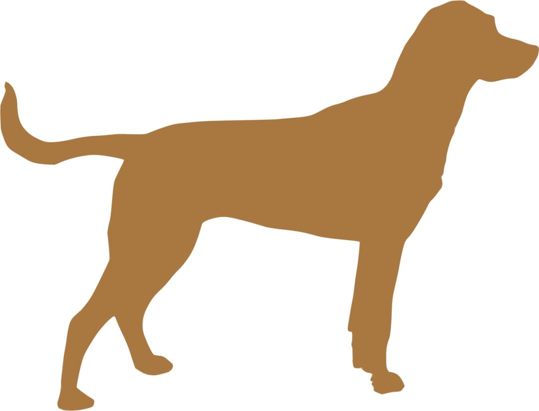 Silhouette Animaux 25 png transparent