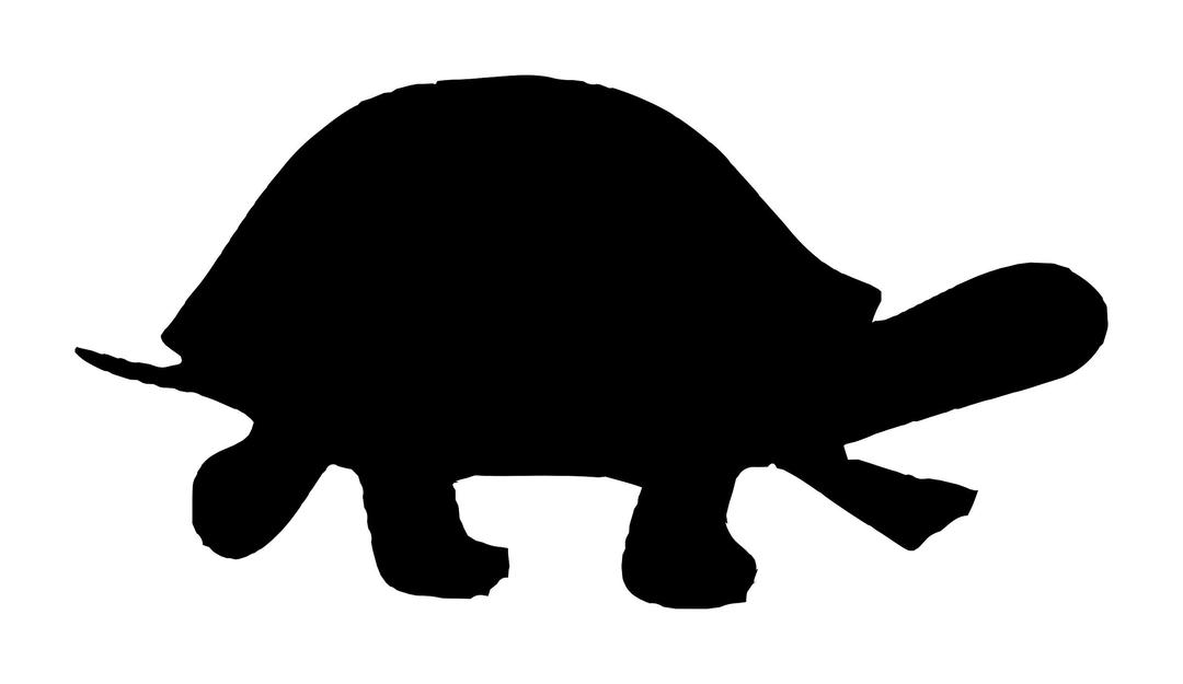 Silhouette - turtle png transparent