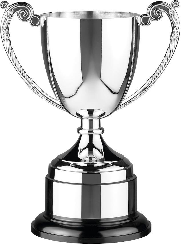 Silver Cup png transparent
