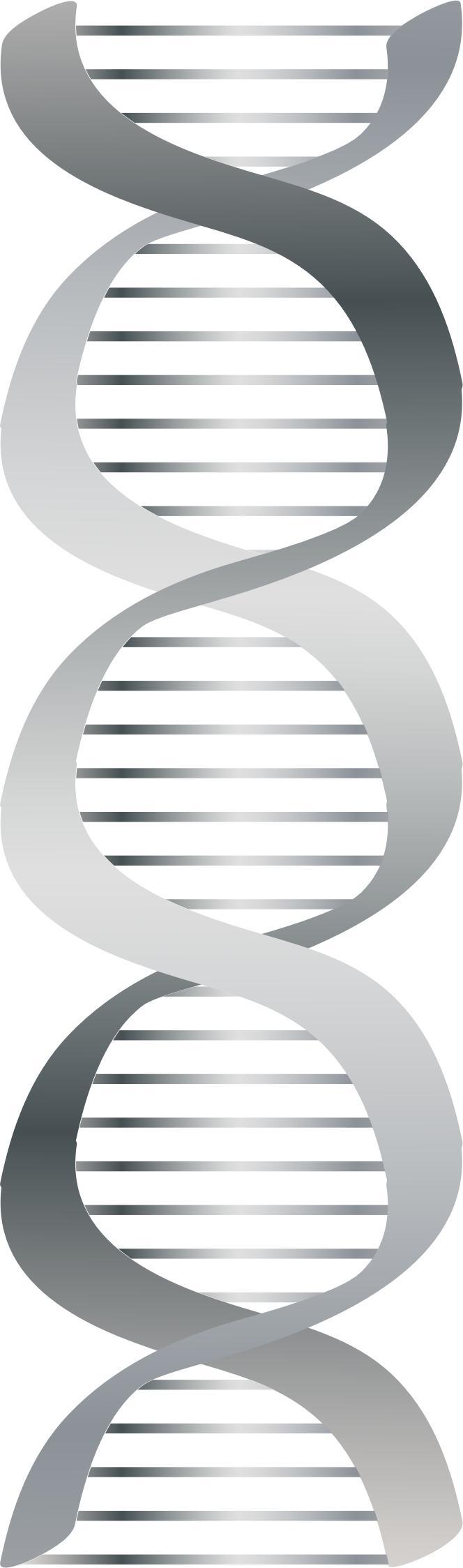 Silver DNA icon png transparent