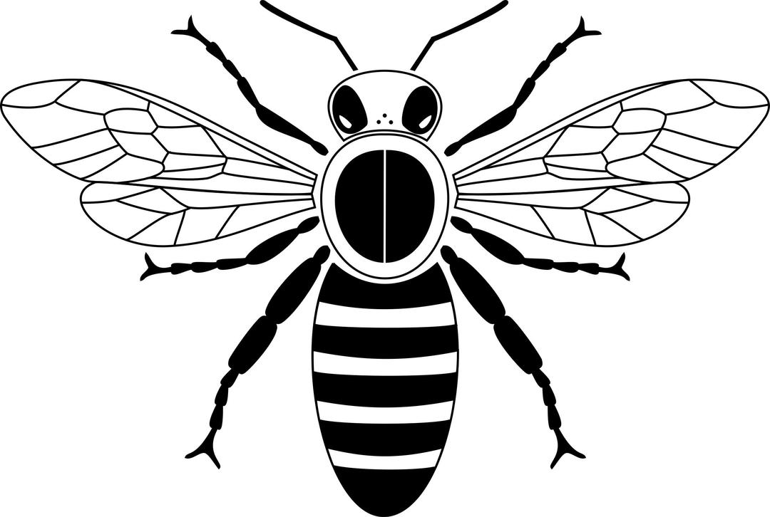 Simple bee from above png transparent