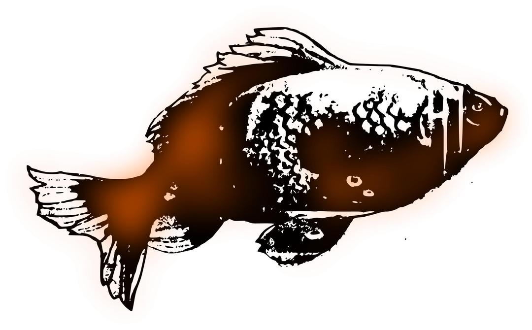 Simple Goldfish png transparent