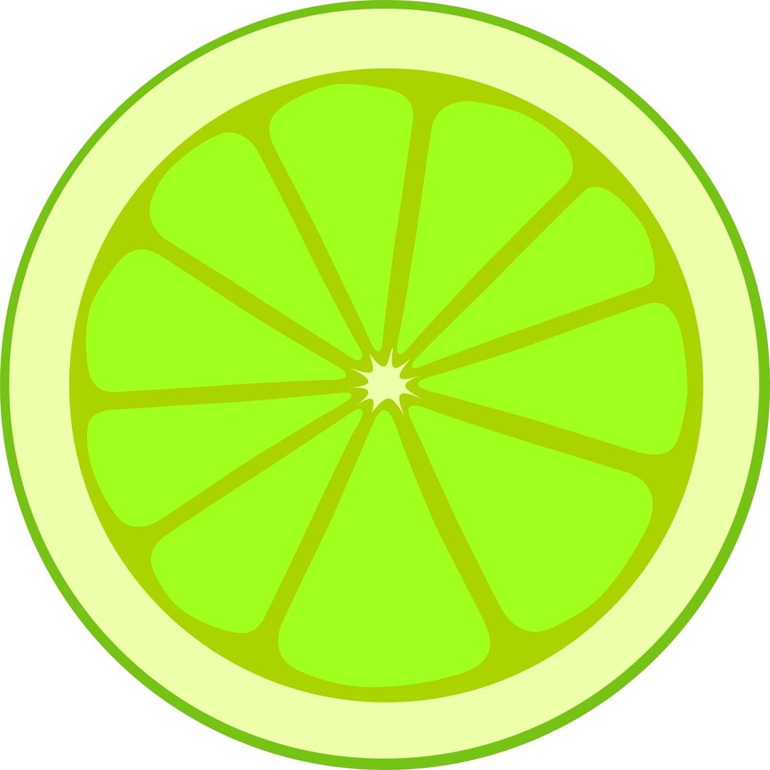 Simple lime section png transparent