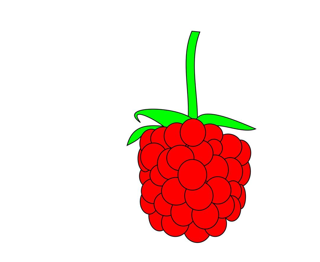 simple raspberry png transparent