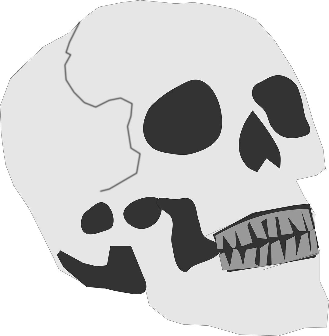 Simplified Skull png transparent