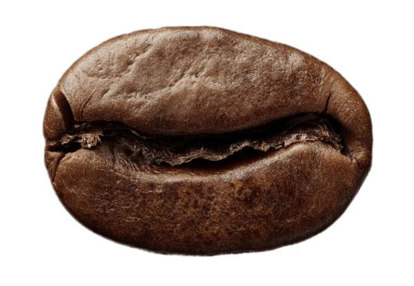 Single Roasted Coffee Bean png transparent