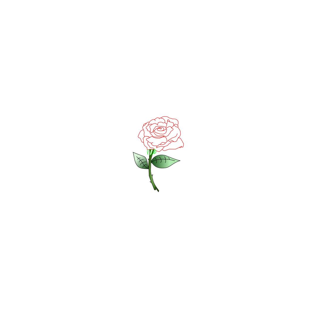 Single Rose png transparent