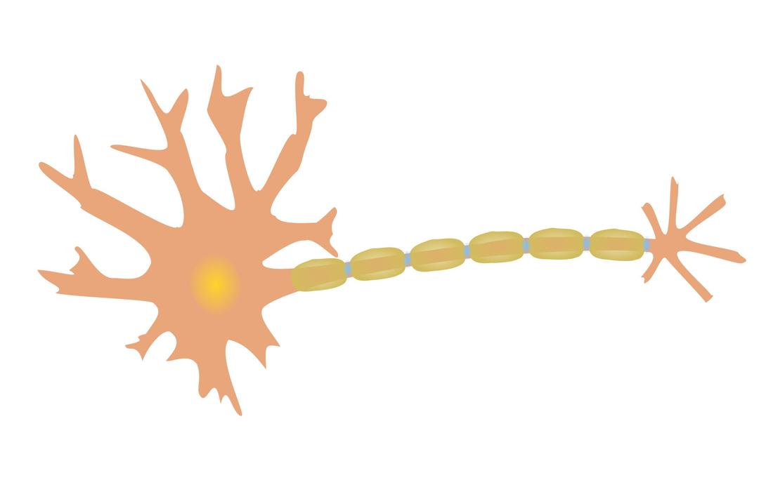 single-neuron png transparent