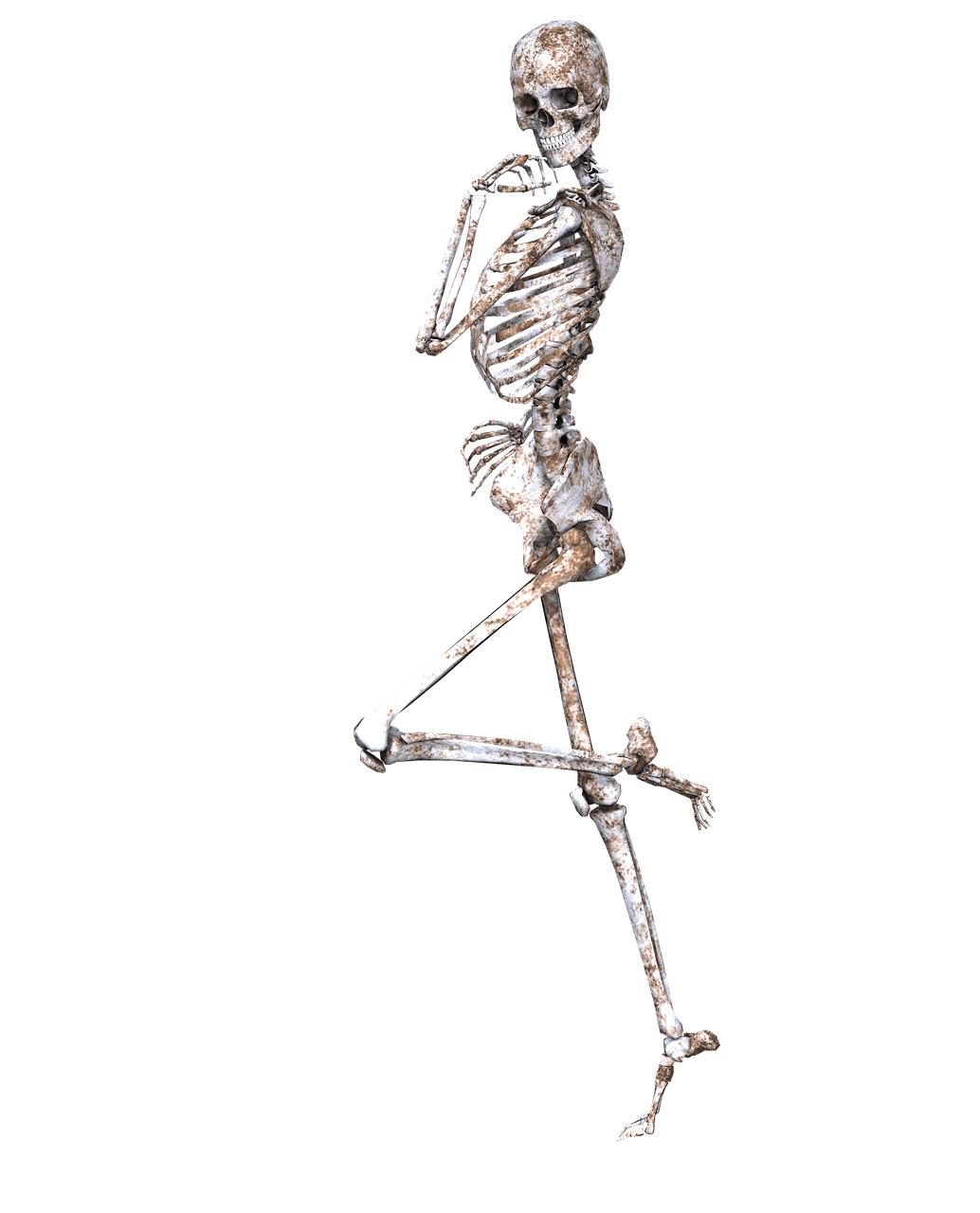Skeleton on One Leg png transparent