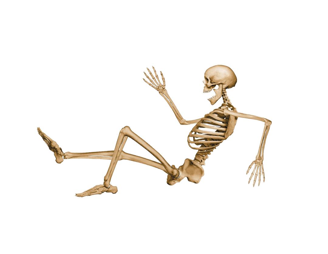 Skeleton Sitting png transparent