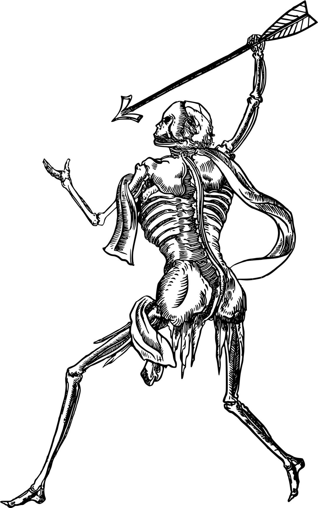 Skeleton warrior png transparent