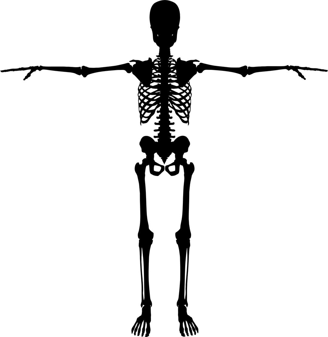 Skeleton With Arms Out Silhouette png transparent