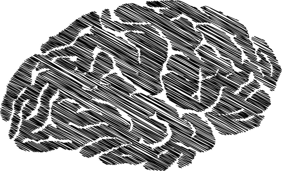 Sketched Brain Silhouette png transparent
