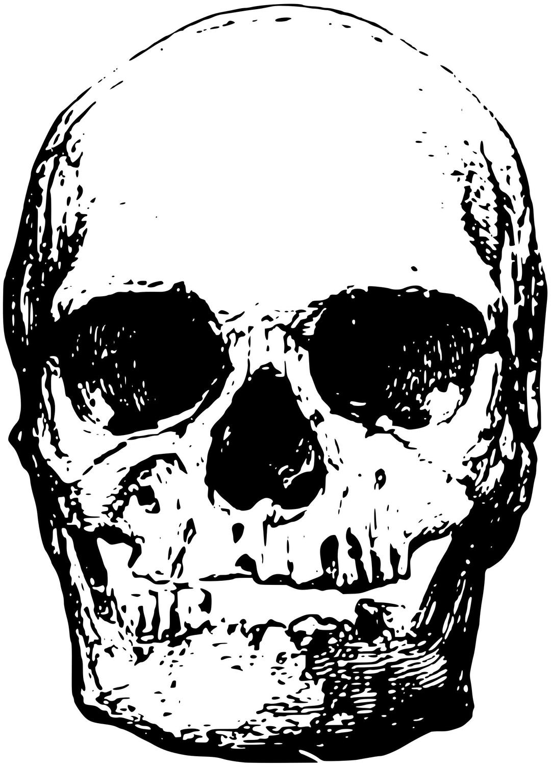 Skull 4 png transparent