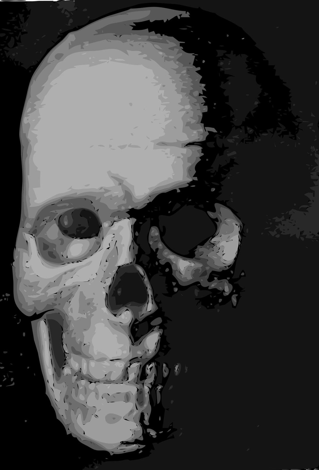 Skull 8c png transparent