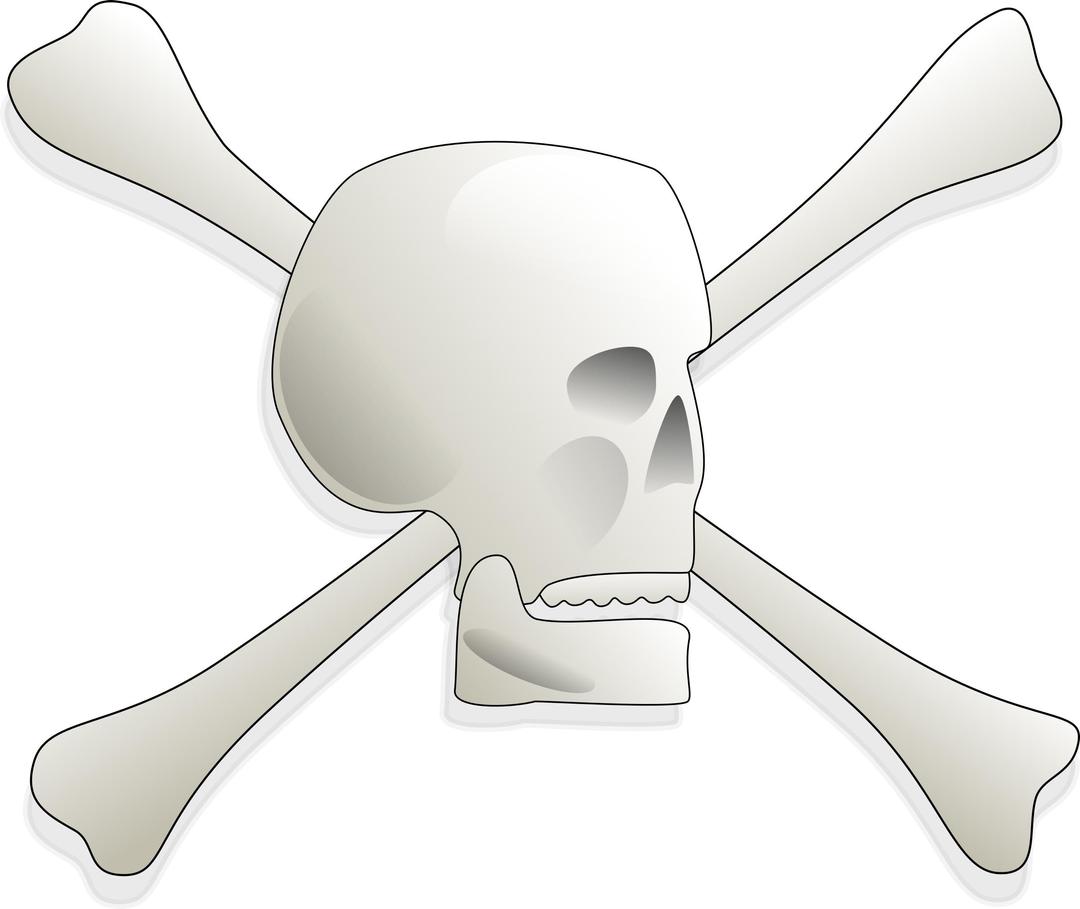 Skull and Bones png transparent