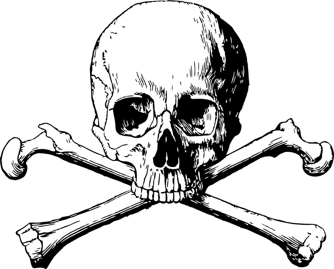 Skull and Cross Bones png transparent