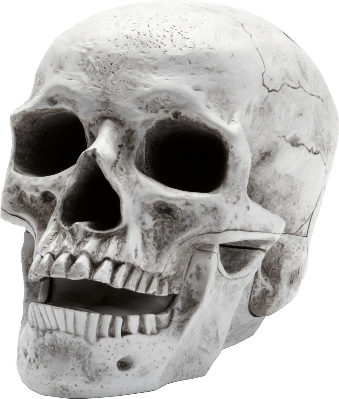 Skull Open Mouth png transparent