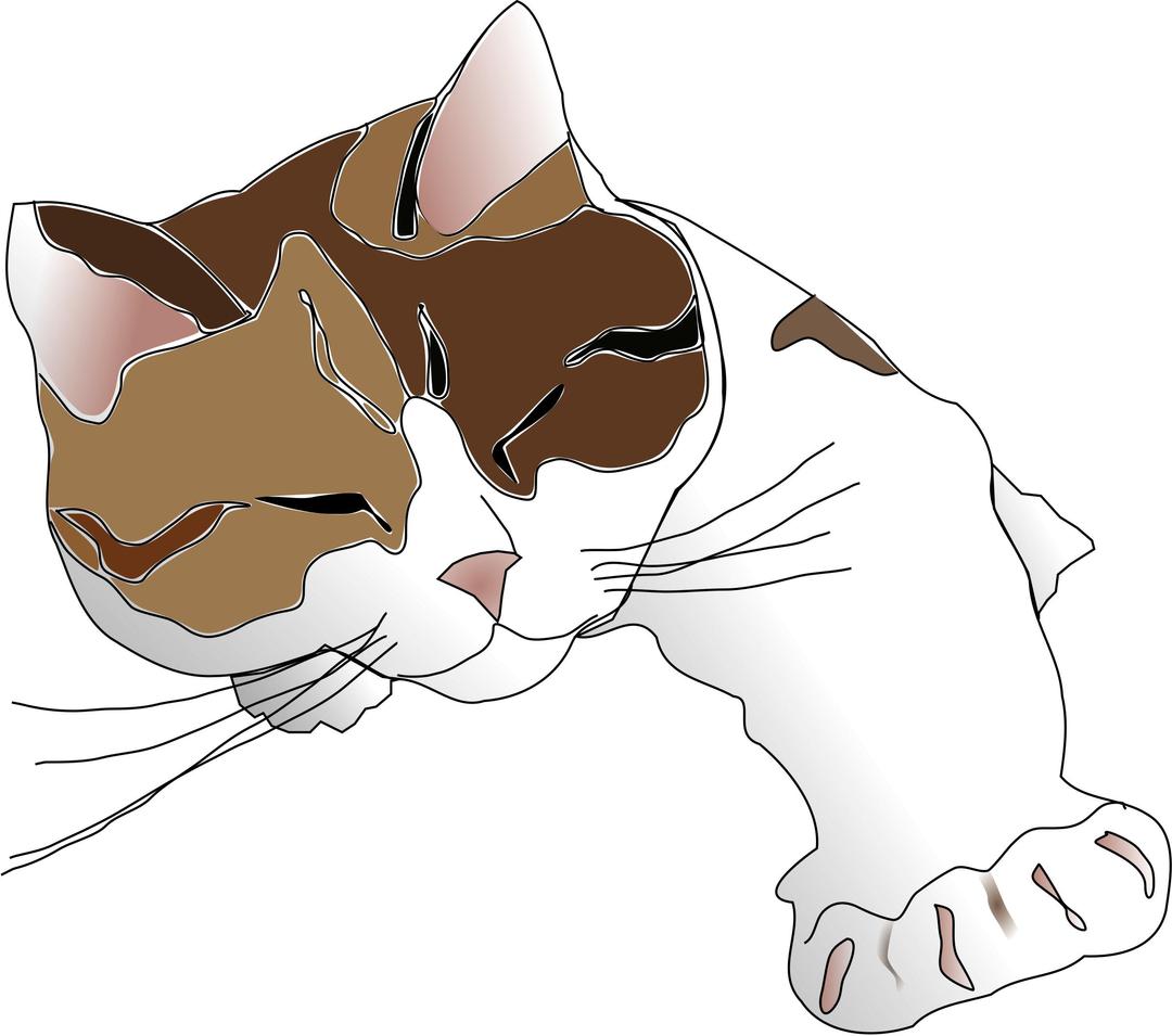 Sleepy Calico Cat png transparent