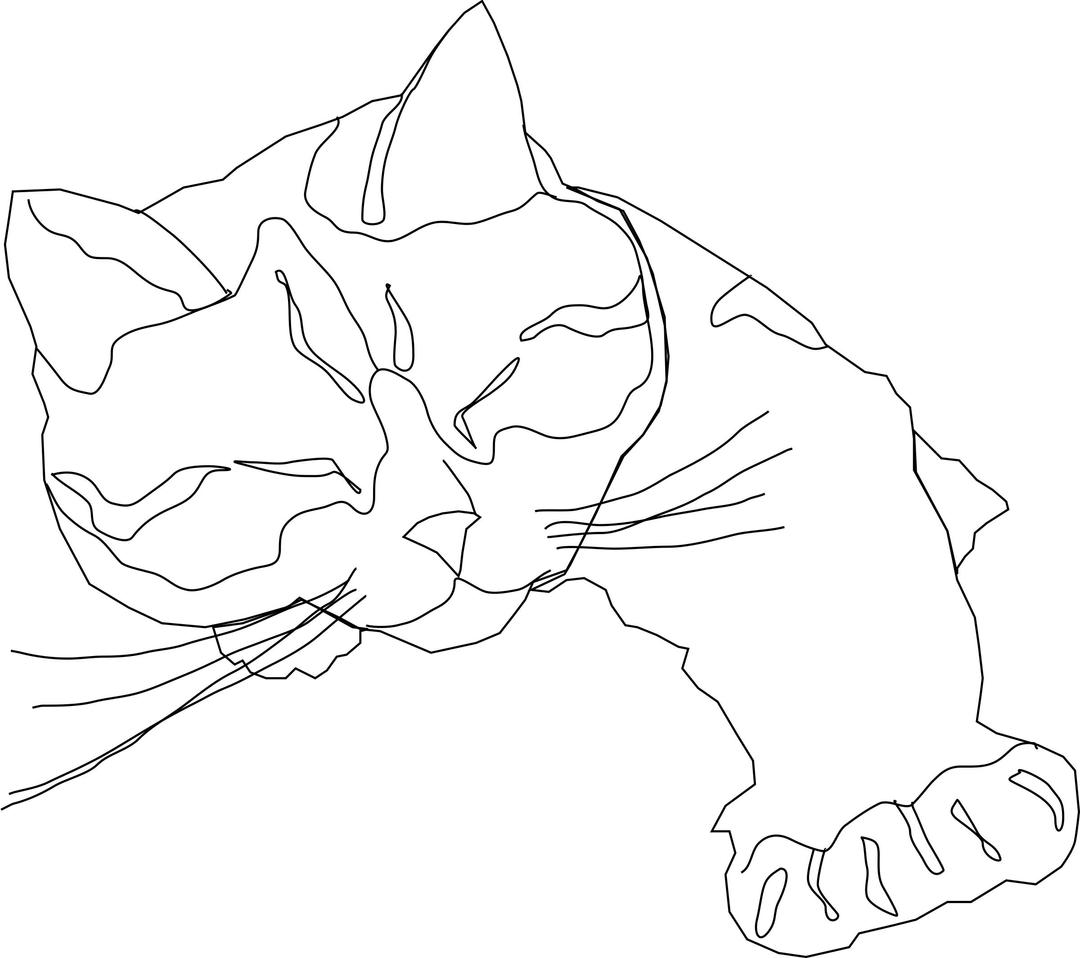Sleepy Calico Cat (Line Drawing Only) png transparent