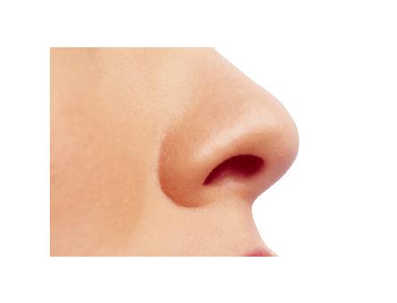 Small Female Nose png transparent