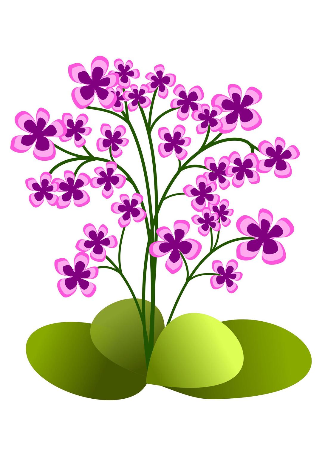 Small flowers png transparent