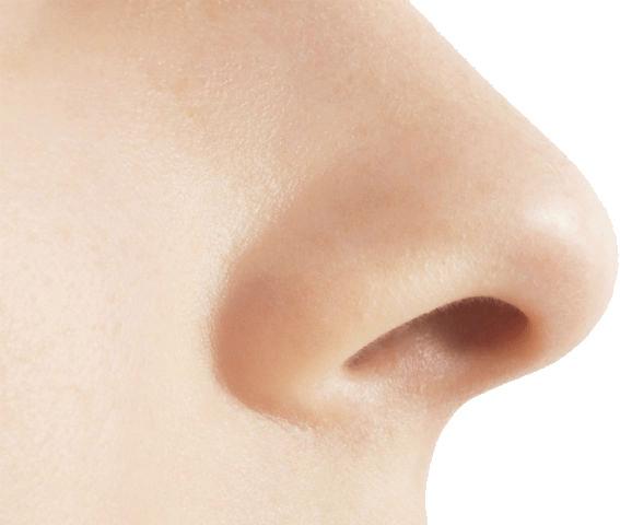 Small Nose png transparent