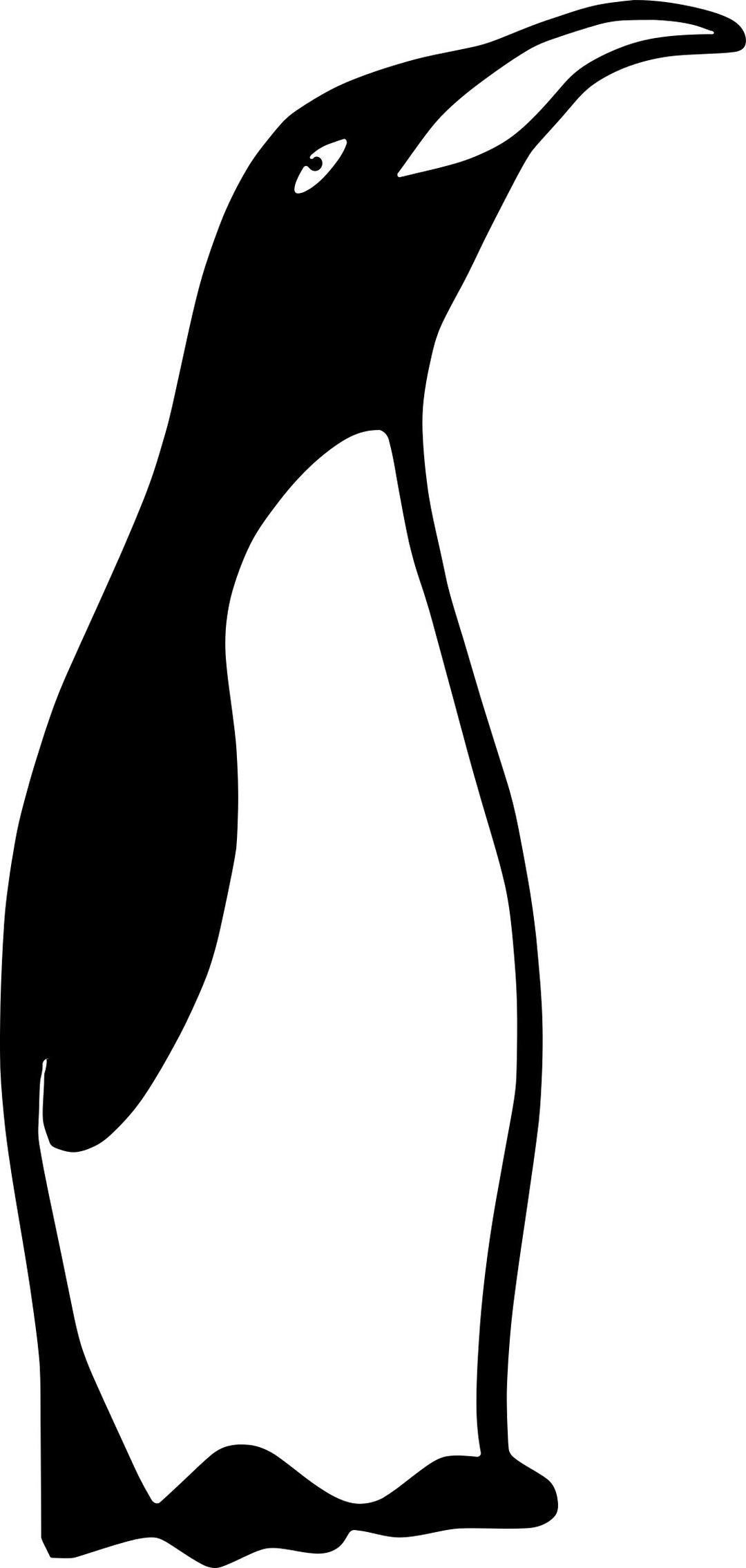 Smug Penguin png transparent