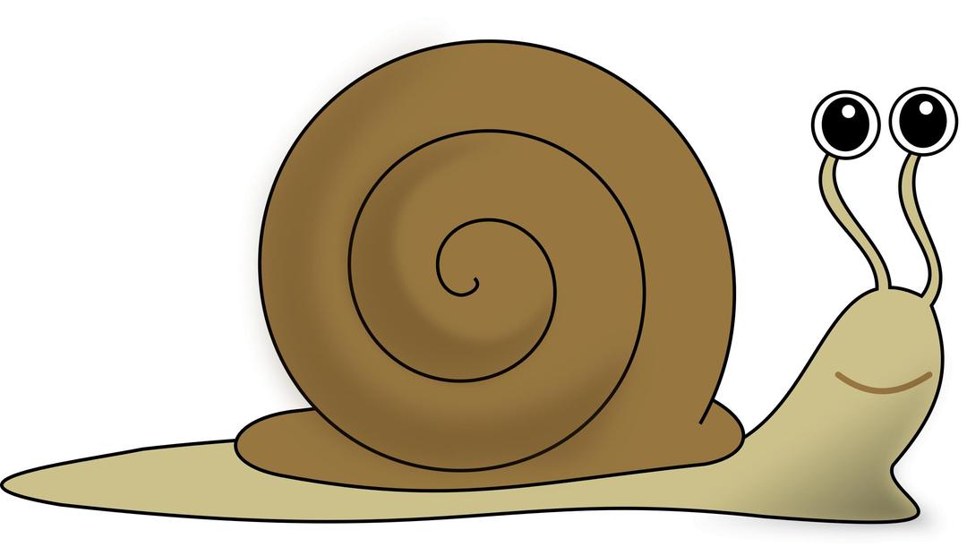 snail-escargot-decroissance png transparent