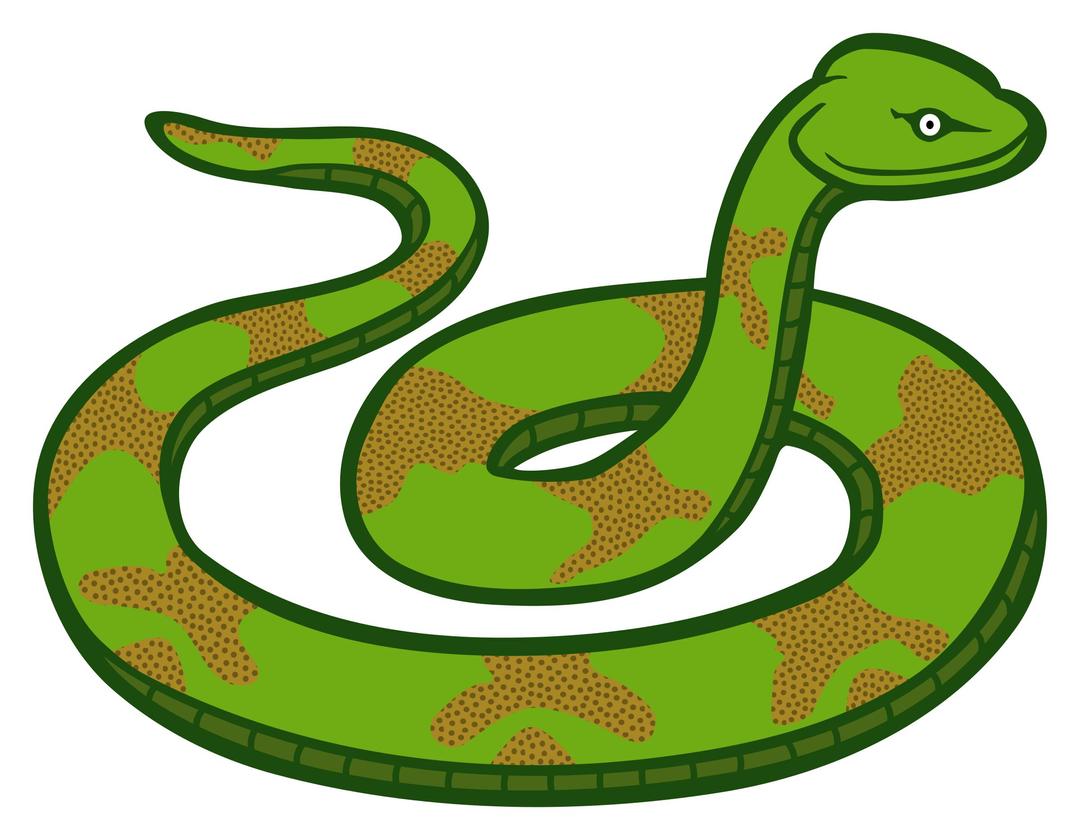 snake - coloured png transparent