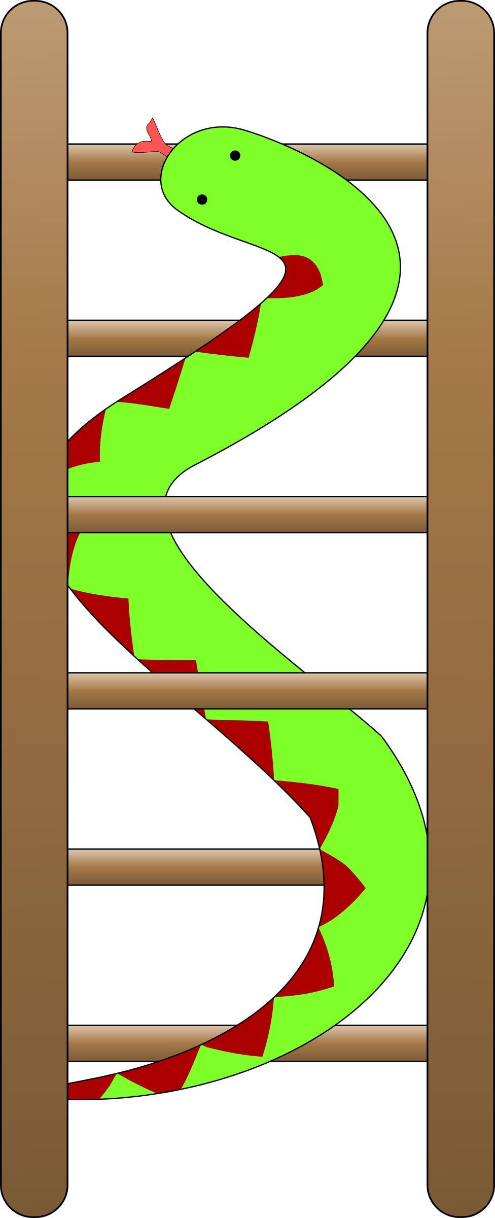 Snakes and ladders png transparent