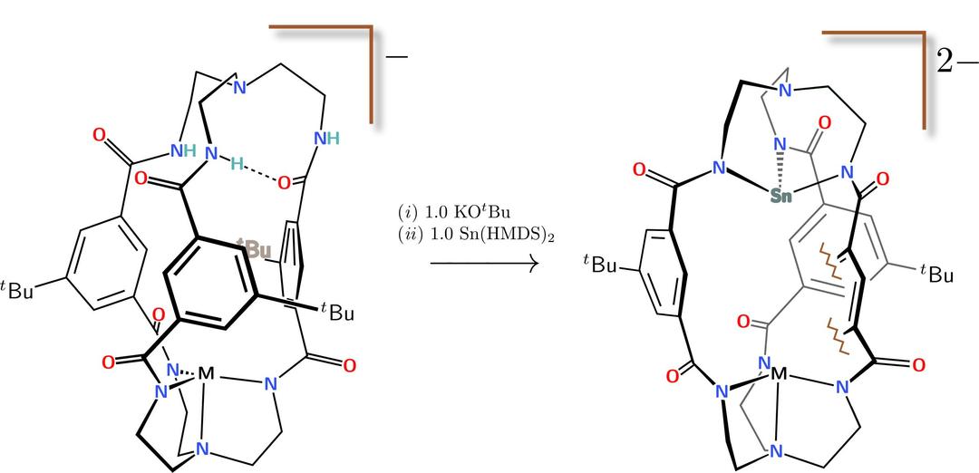 Sn(II) hetero-bimetallic cryptand png transparent