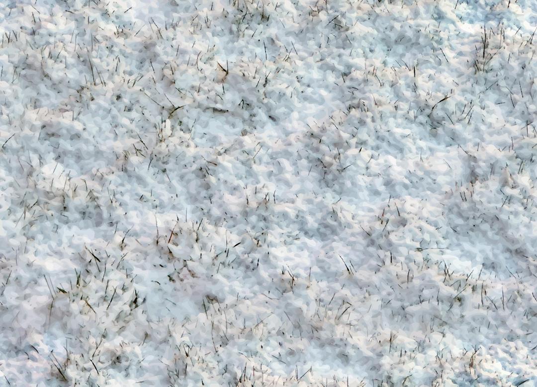 Snow on grass png transparent