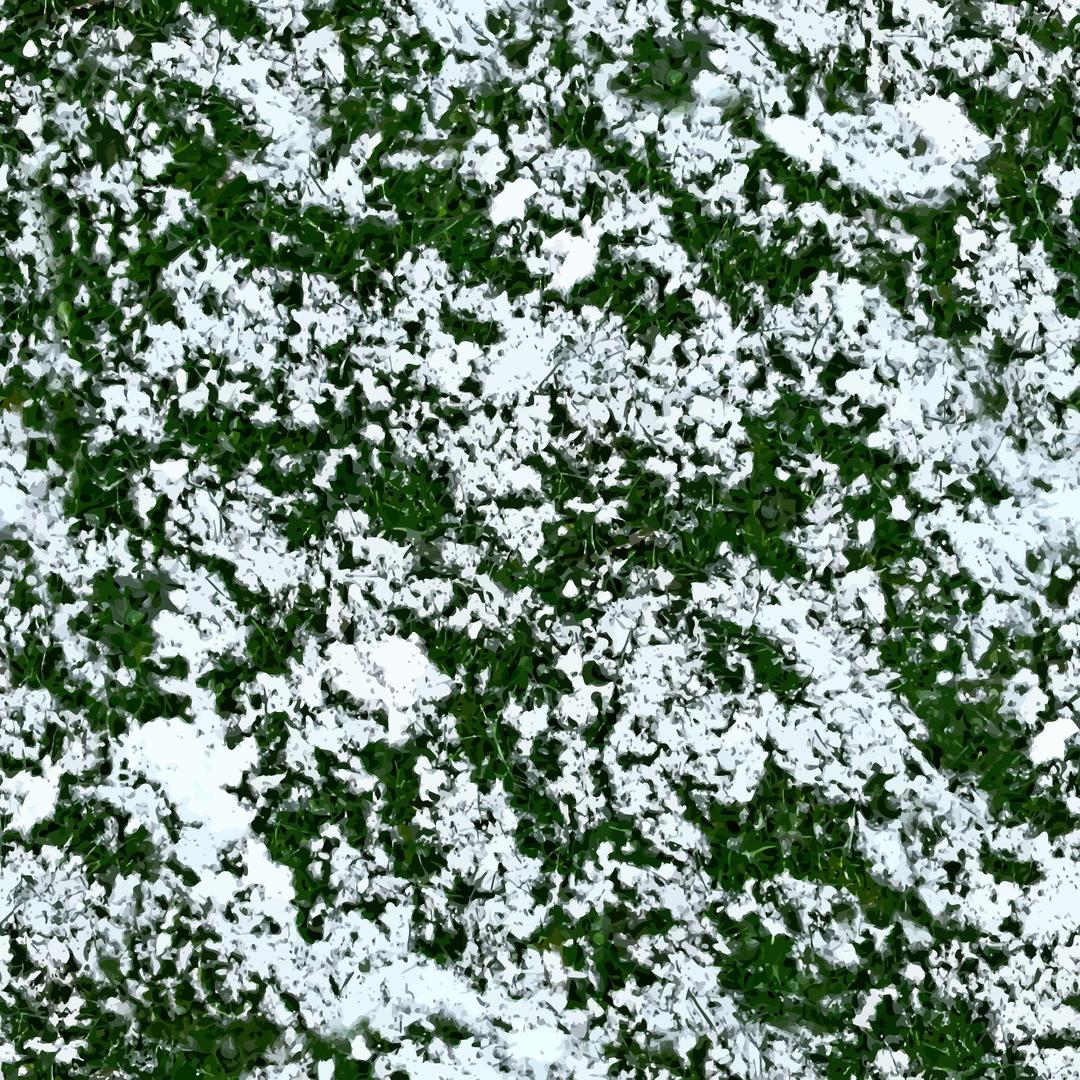 Snow on grass 2 png transparent